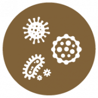 Better Mold Resistance