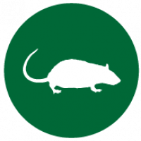Reduce Unwanted Critters